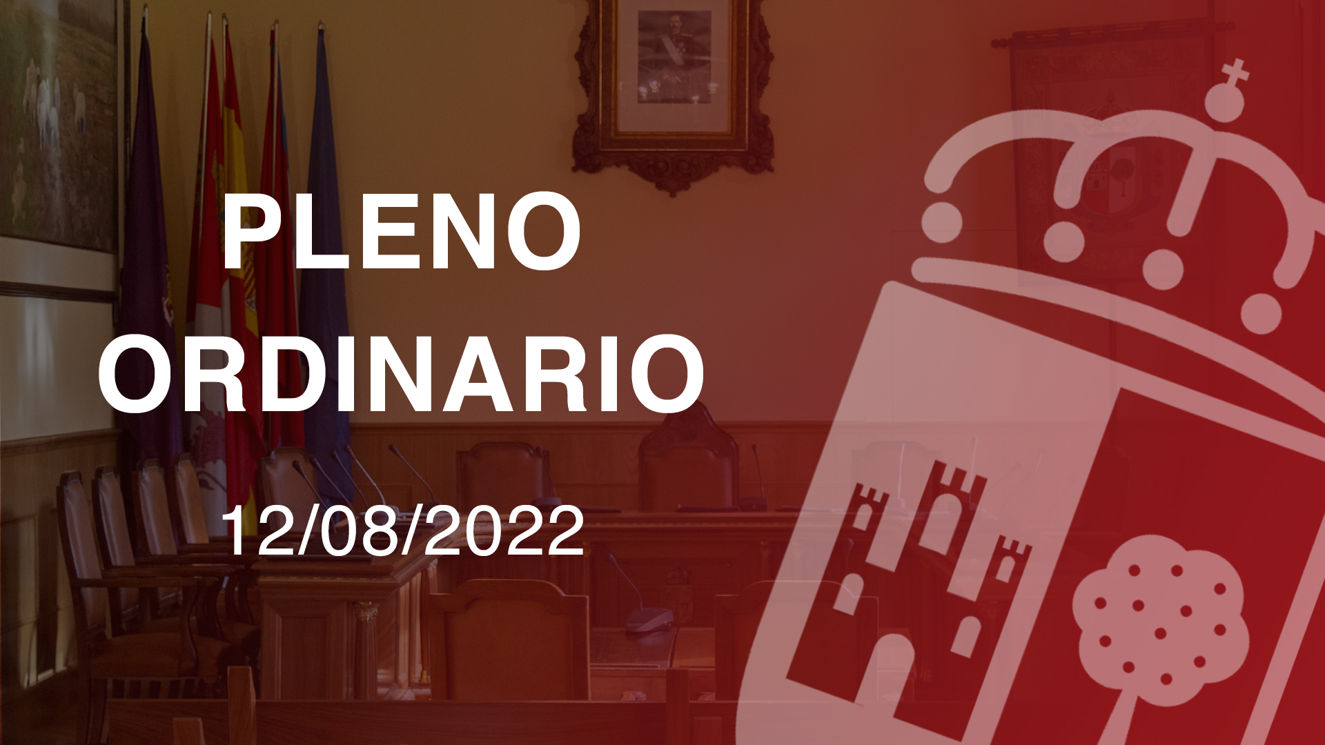 Pleno Ordinario 12/08/2022