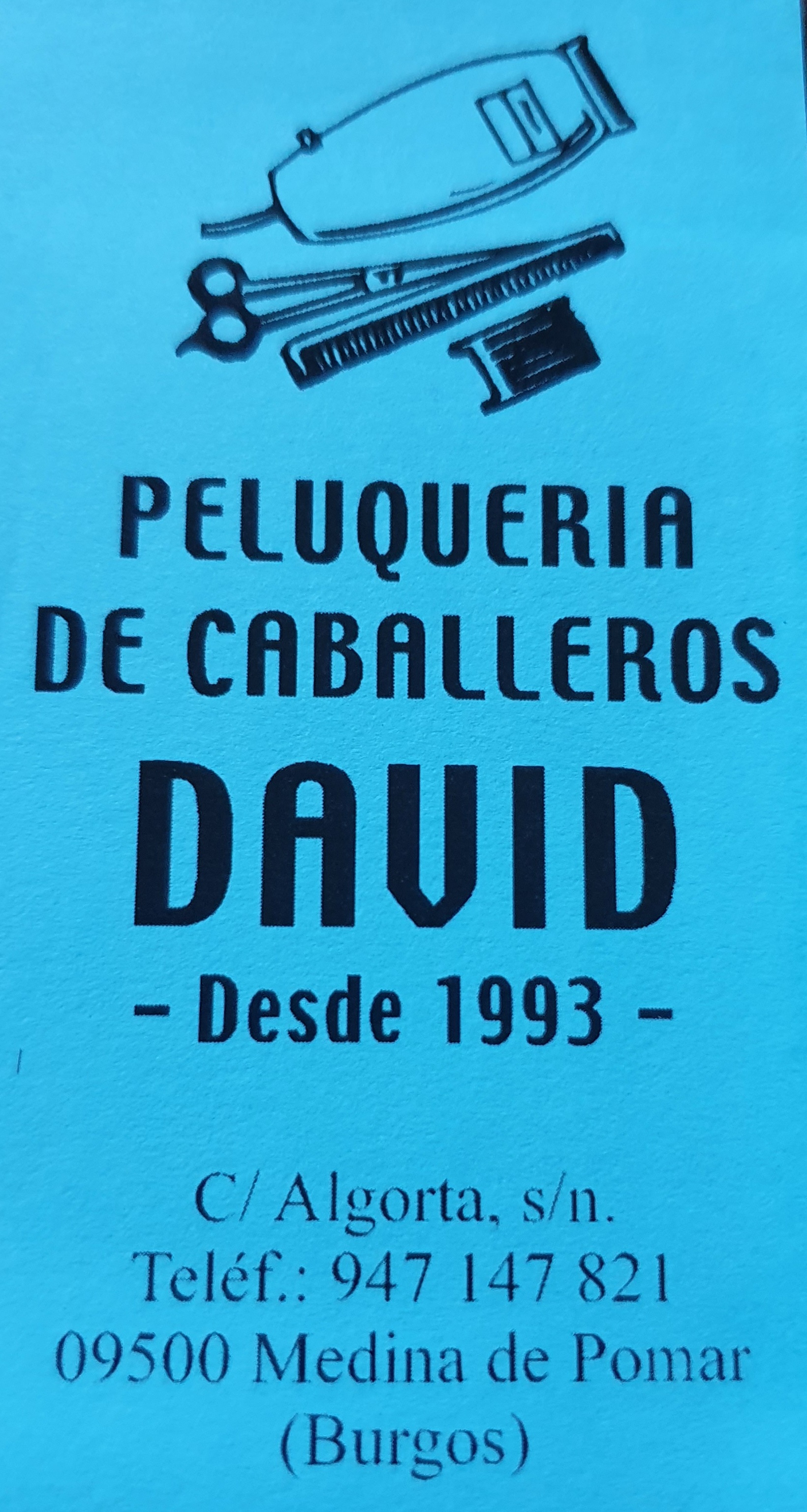 peluquería david