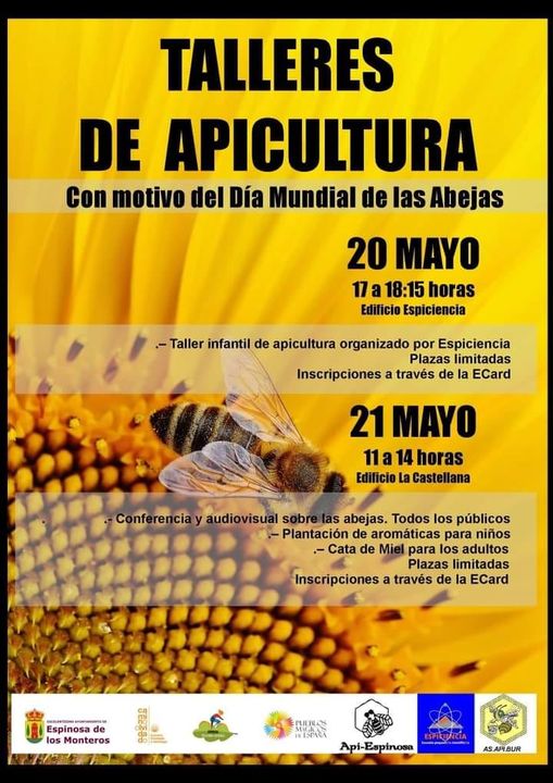 Talleres de Apicultura
