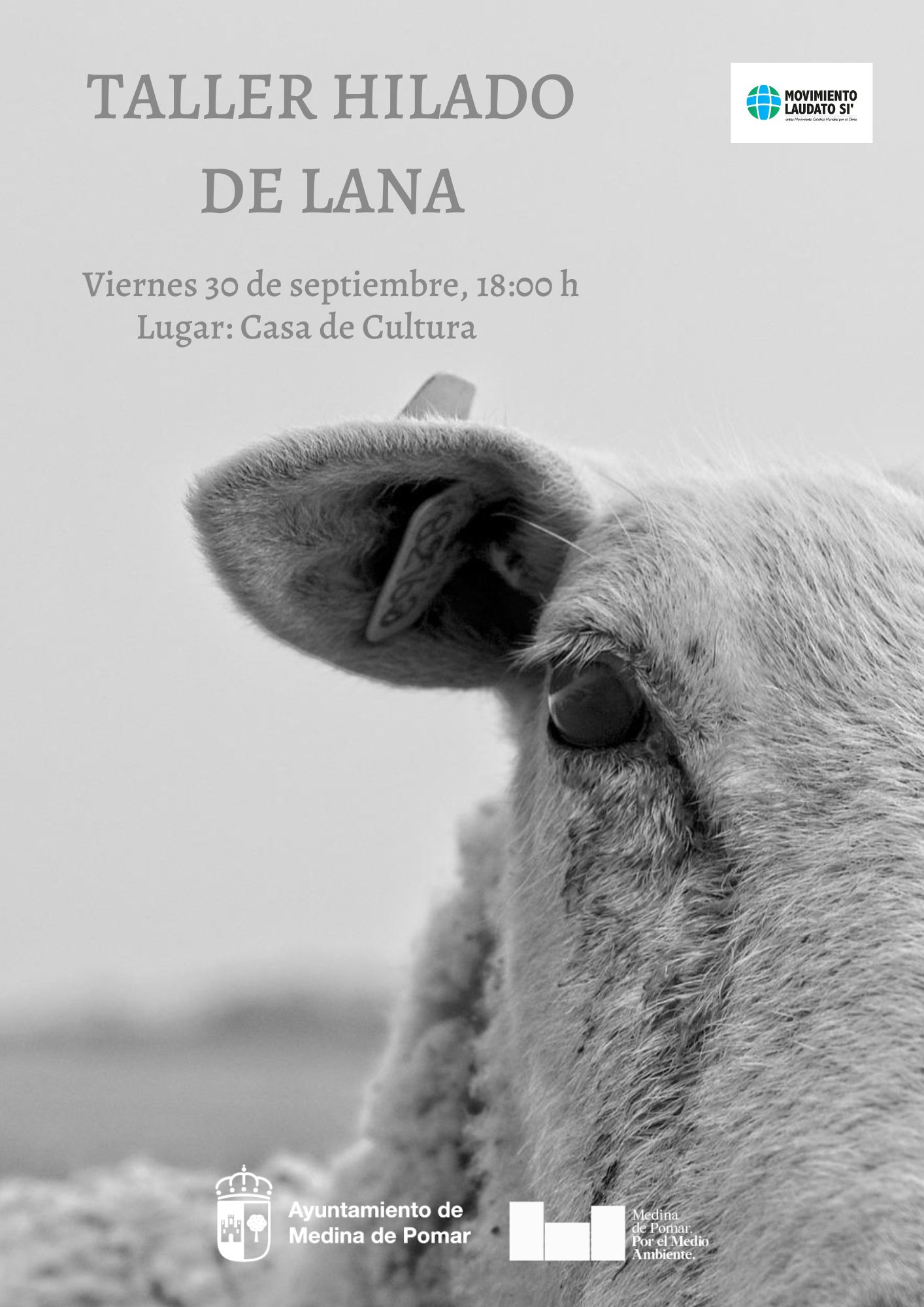 TALLER HILADO DE LANA