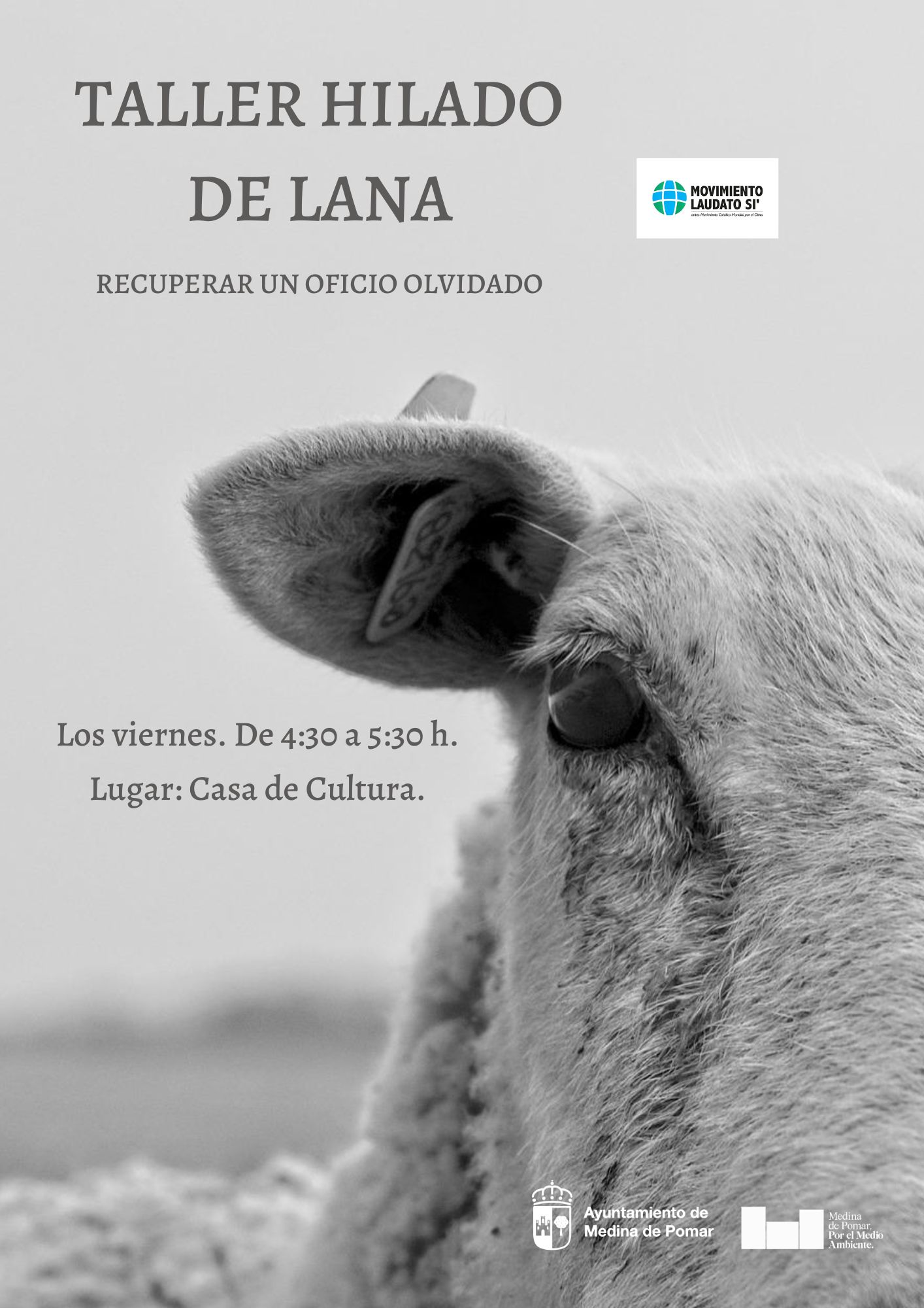 TALLER DE HILADO DE LANA