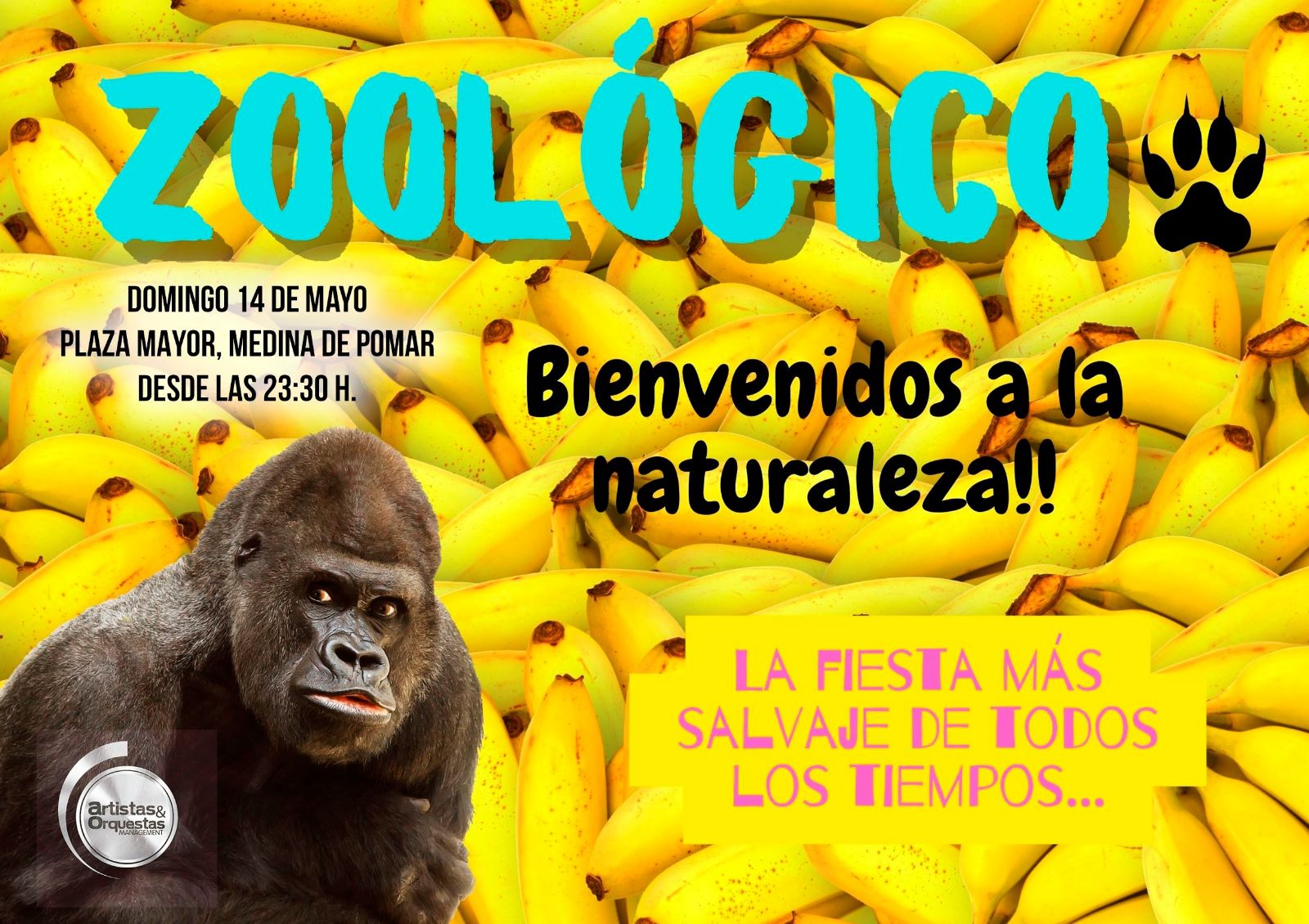 MACRODISCO ZOOLÓGICO