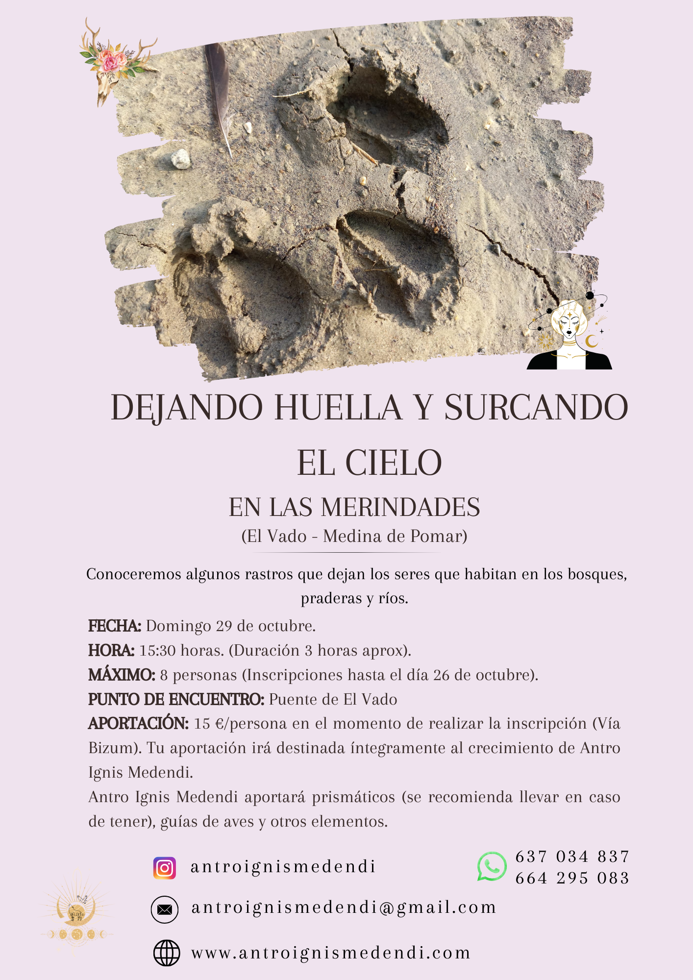 Observación de aves en Las Merindades. Surcando el cielo y dejando huella