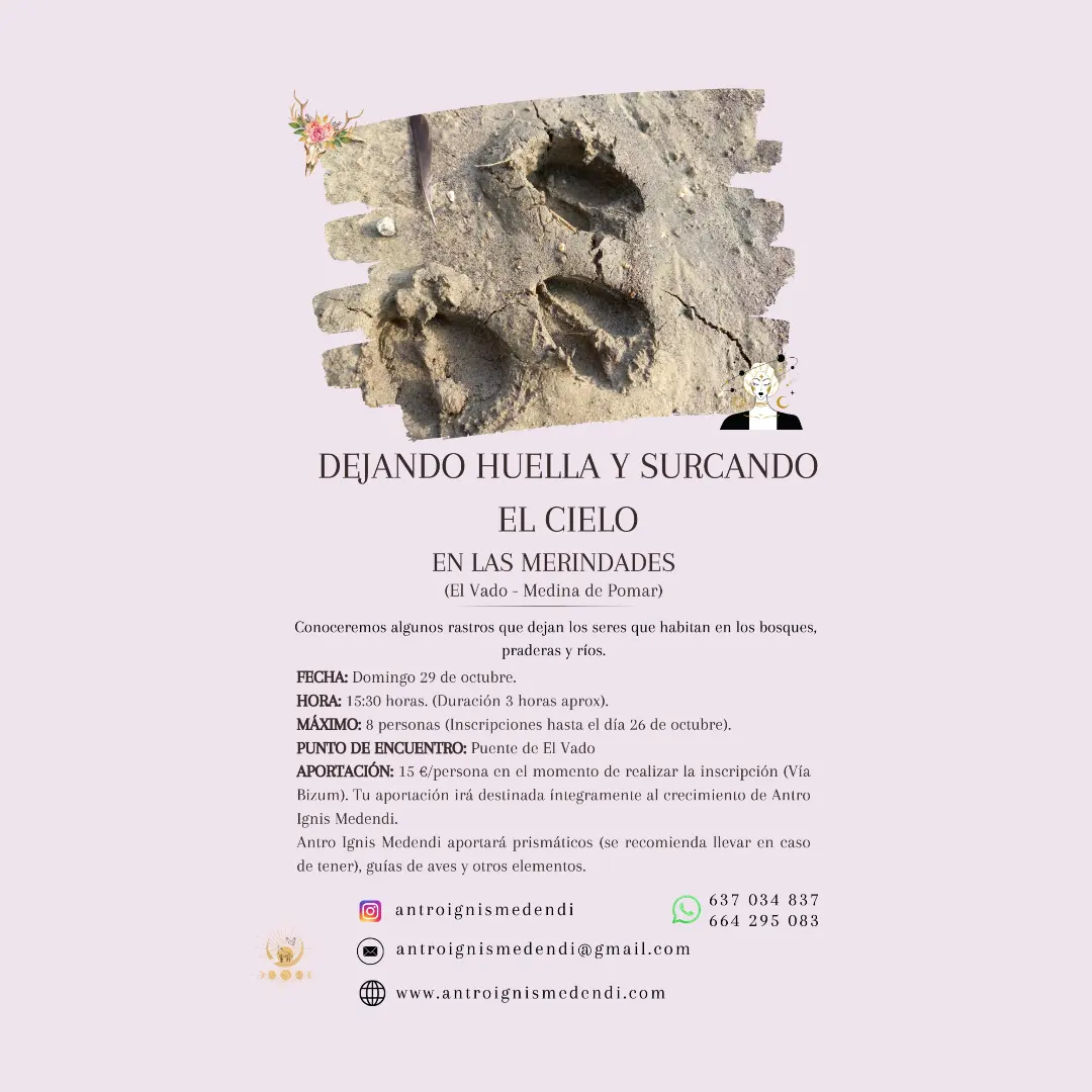 Dejando huella y Surcando el cielo