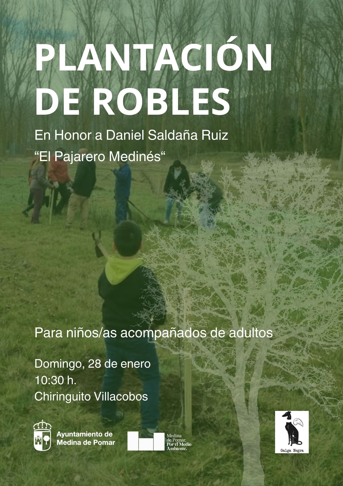 Plantación de Robles 