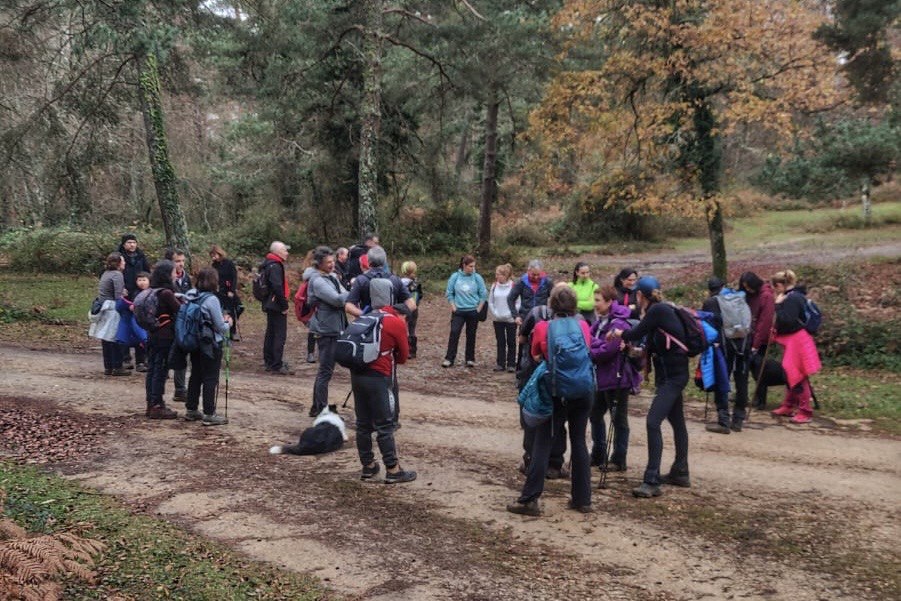 Nueva Programación Deportiva Anual 