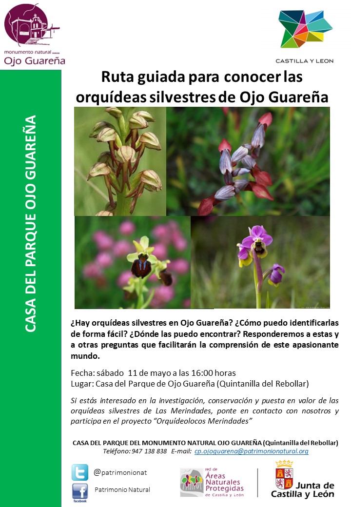 RUTA GUIADA PARA CONOCER LAS ORQUÍDEAS SILVESTRES DEL MONUMENTO NATURAL OJO GUAREÑA
