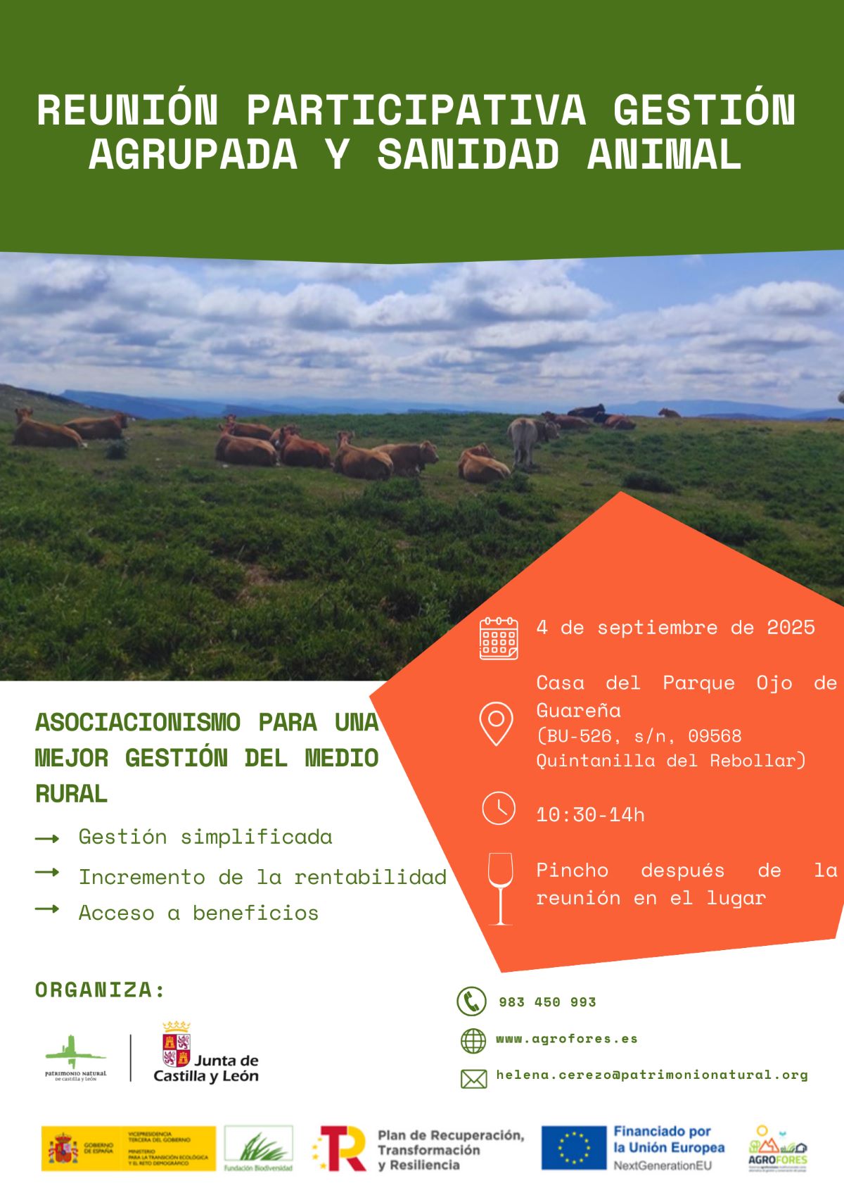 Reunión participativa gestión agrupada y sanidad animal