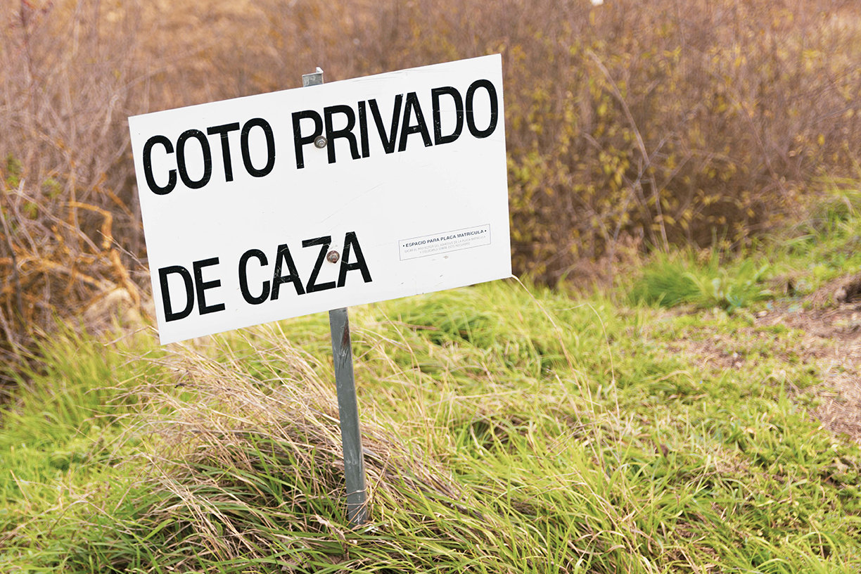 INFORMACIÓN PREVIA CACERÍAS COLECTIVAS