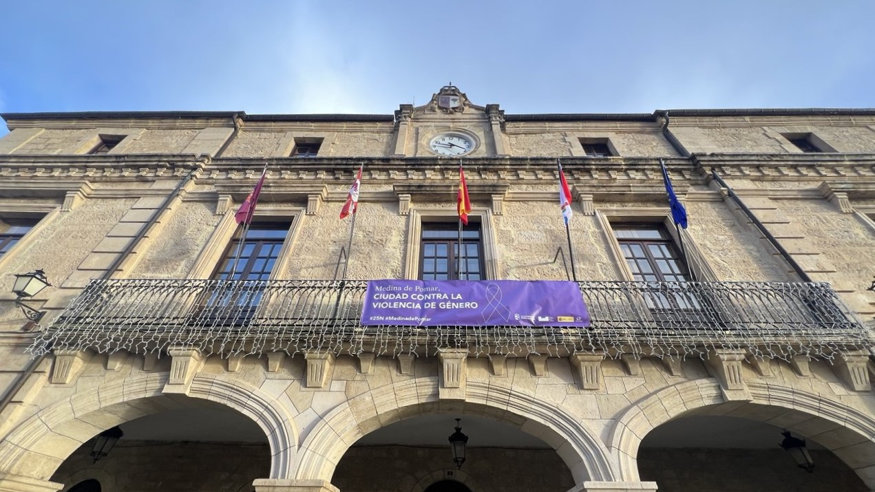 Declaración FEMP 25N