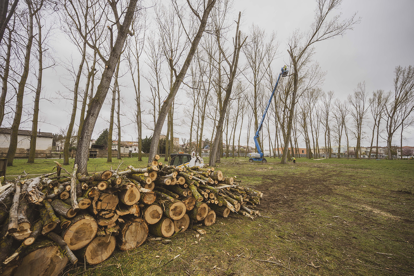  plan de recuperación del parque de “La Chopera”