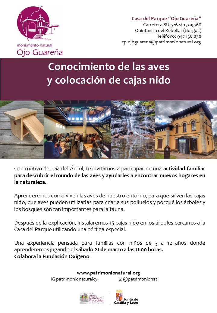 Taller familiar por el Día del Árbol: descubrir las aves y ayudarles a encontrar hogar