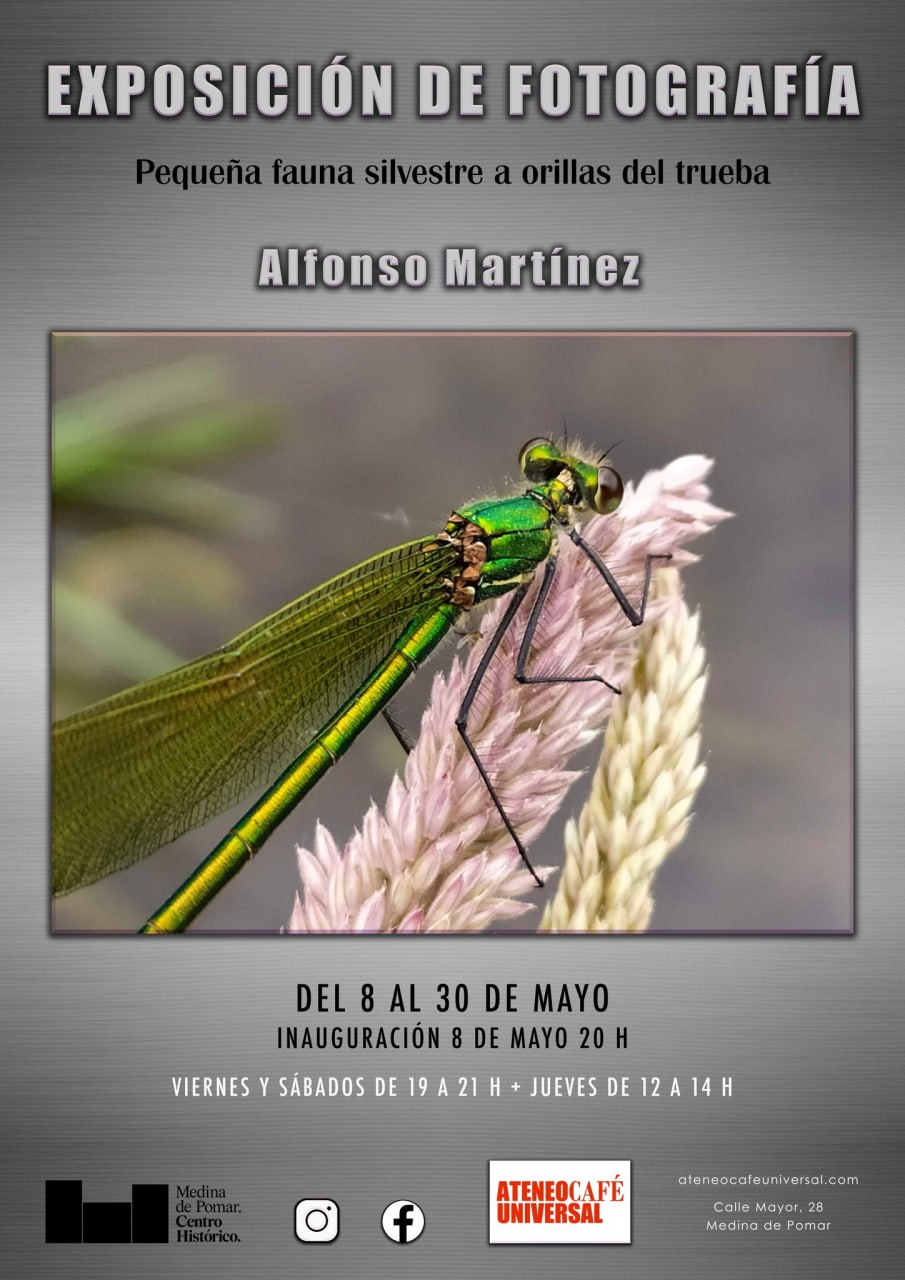 Exposición de fotografía: Pequeña fauna silvestre a orillas del Trueba. Alfonso Martínez.