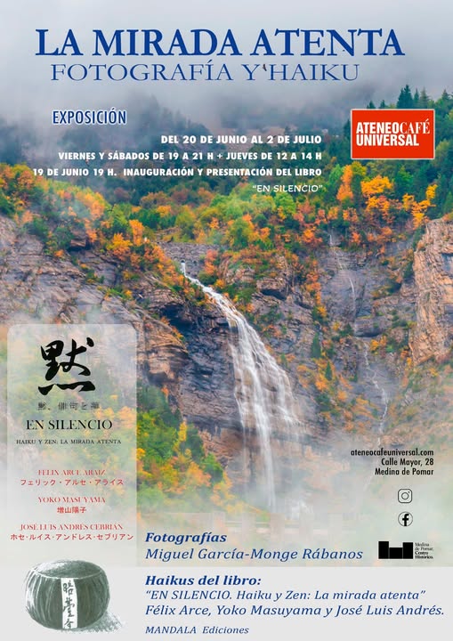 Exposición "La mirada atenta" Fotografía Y'haiku.