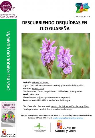 DESCUBRIENDO ORQUÍDEAS EN OJO GUAREÑA