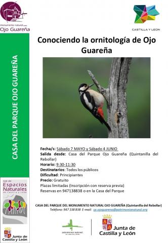 Taller de ornitología 