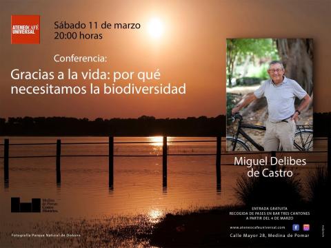 CONFERENCIA  CONFERENCIA