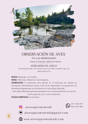 Observación de aves en Las Merindades. Surcando el cielo.