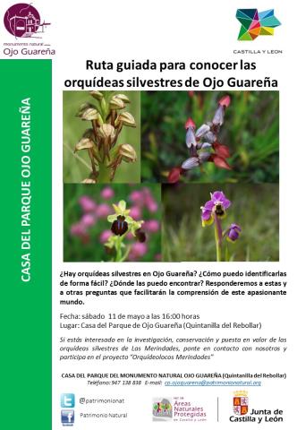 RUTA GUIADA PARA CONOCER LAS ORQUÍDEAS SILVESTRES DEL MONUMENTO NATURAL OJO GUAREÑA