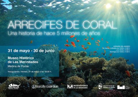 Arrecifes de coral 