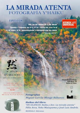 Exposición "La mirada atenta" Fotografía Y'haiku.
